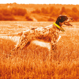 MIDLAND - BEEPER ONE GPS (PALMARE + 1 COLLARE) (C1583)