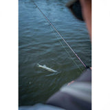 24c6f39a-a835-4d46-9f50-5951ccfd73b5