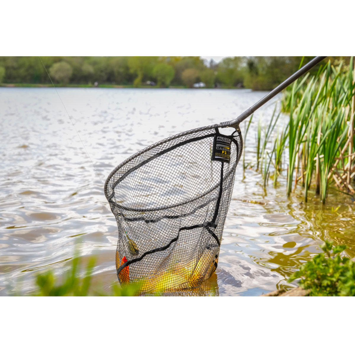 LANDING NET HEAD - PRESTON - CARBON F1 LATEX LANDING NET 18"