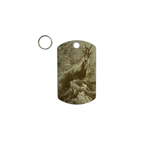 7ba2c8c8-c8d4-4300-a2af-0c7f9c29d6a3