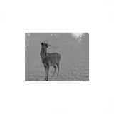 43f47307-8a9e-4fbc-9fce-f1d4bd93e1e7