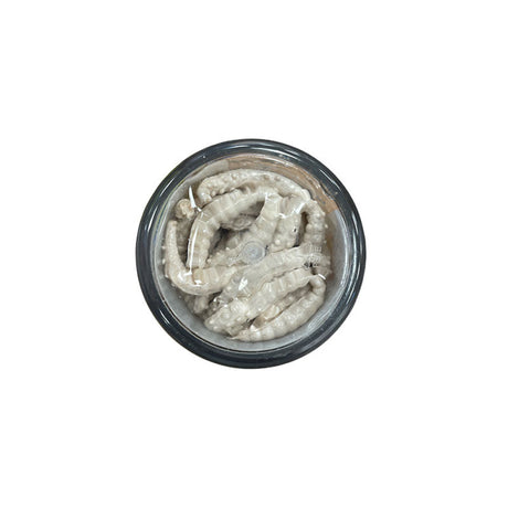 Berkley - Powerbait Garlic White Power Honey Worm 0.75Oz 20G (55 Pz)