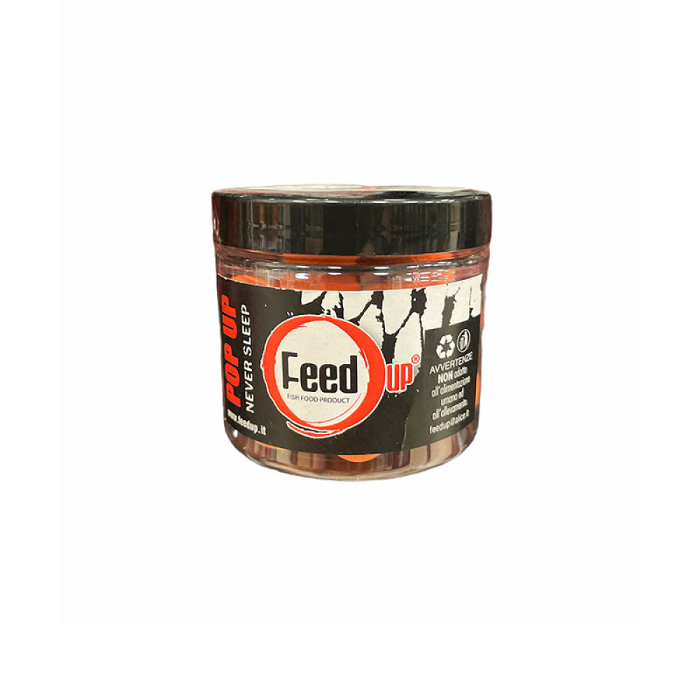 Feed Up - Never Sleep Pop Fluo Orange 20Mm