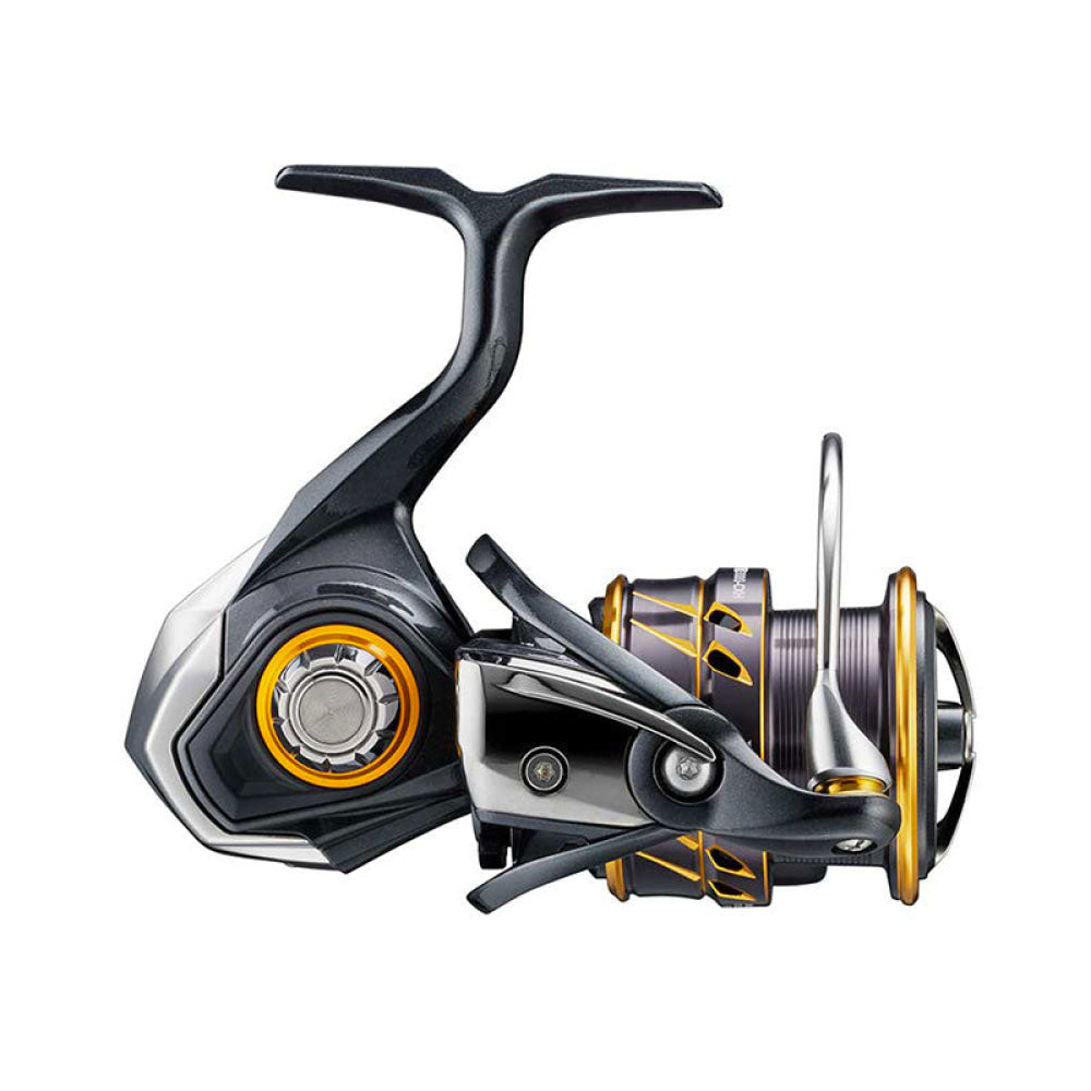 Mulinello - Daiwa 21 Caldia Lt 3000