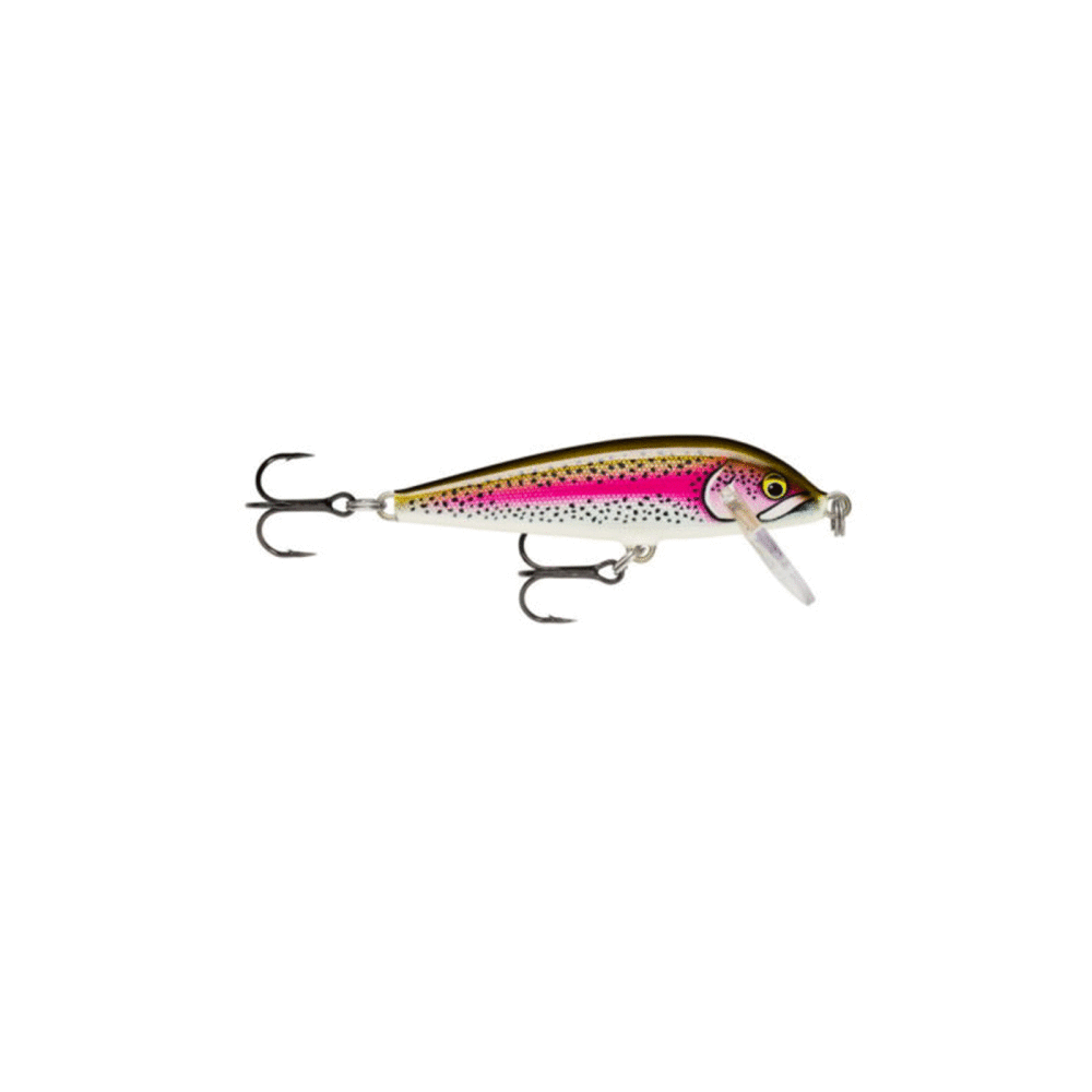 Rapala - Countdown® Sinking Cd-5 5Cm 2’ 5G 3/16 Oz. Artistic Rainbow Trout