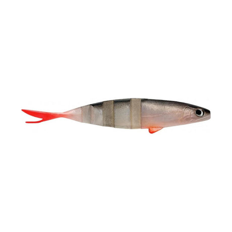 Rapture - Live Action Lures Swimmy 150 15Cm Roach (2Pz)